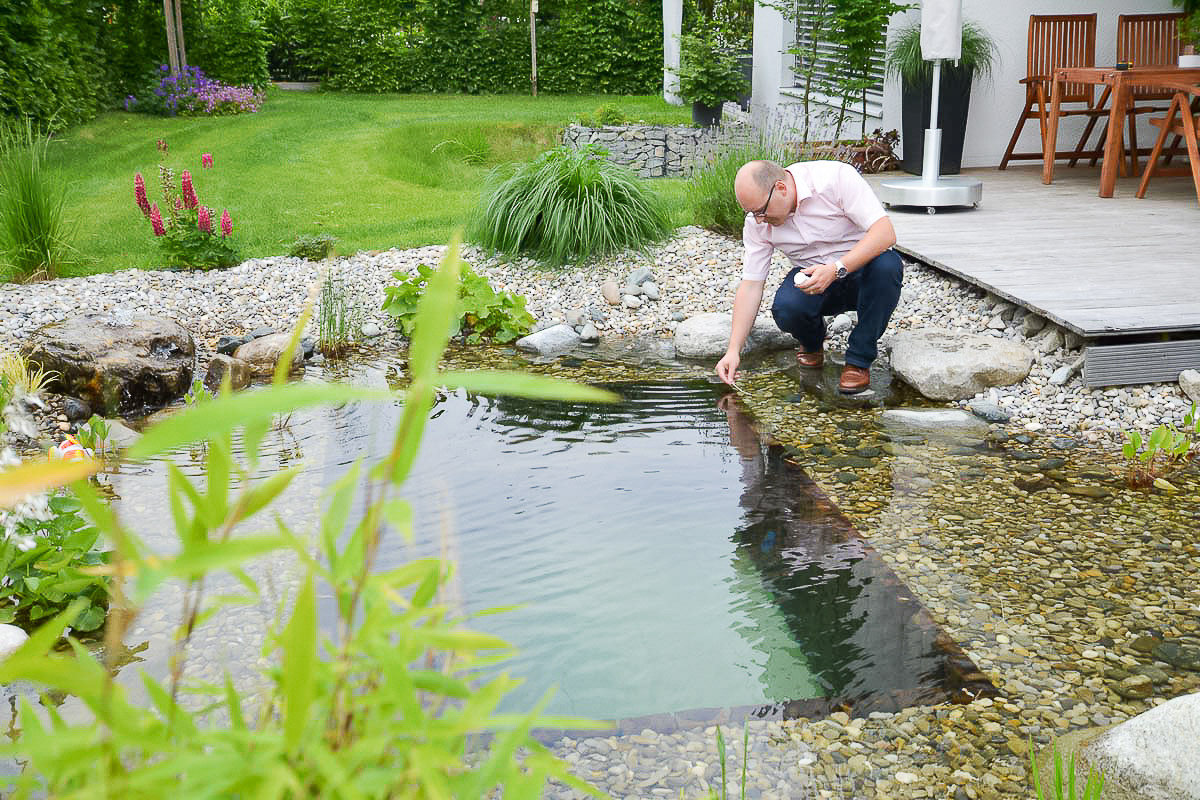 thomas_bauer_gartensachverstaendiger_augsburg-22 Detailansicht der Schnittstelle mit sichtbaren Schadinsekten etc.