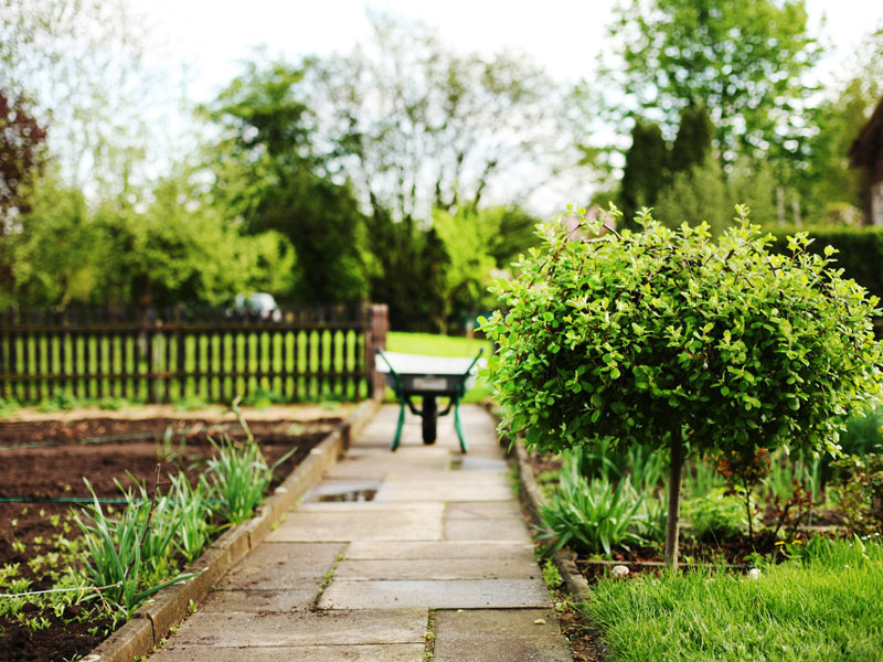 thomas_bauer_gartensachverstaendiger_wertermittlung_kleingarten